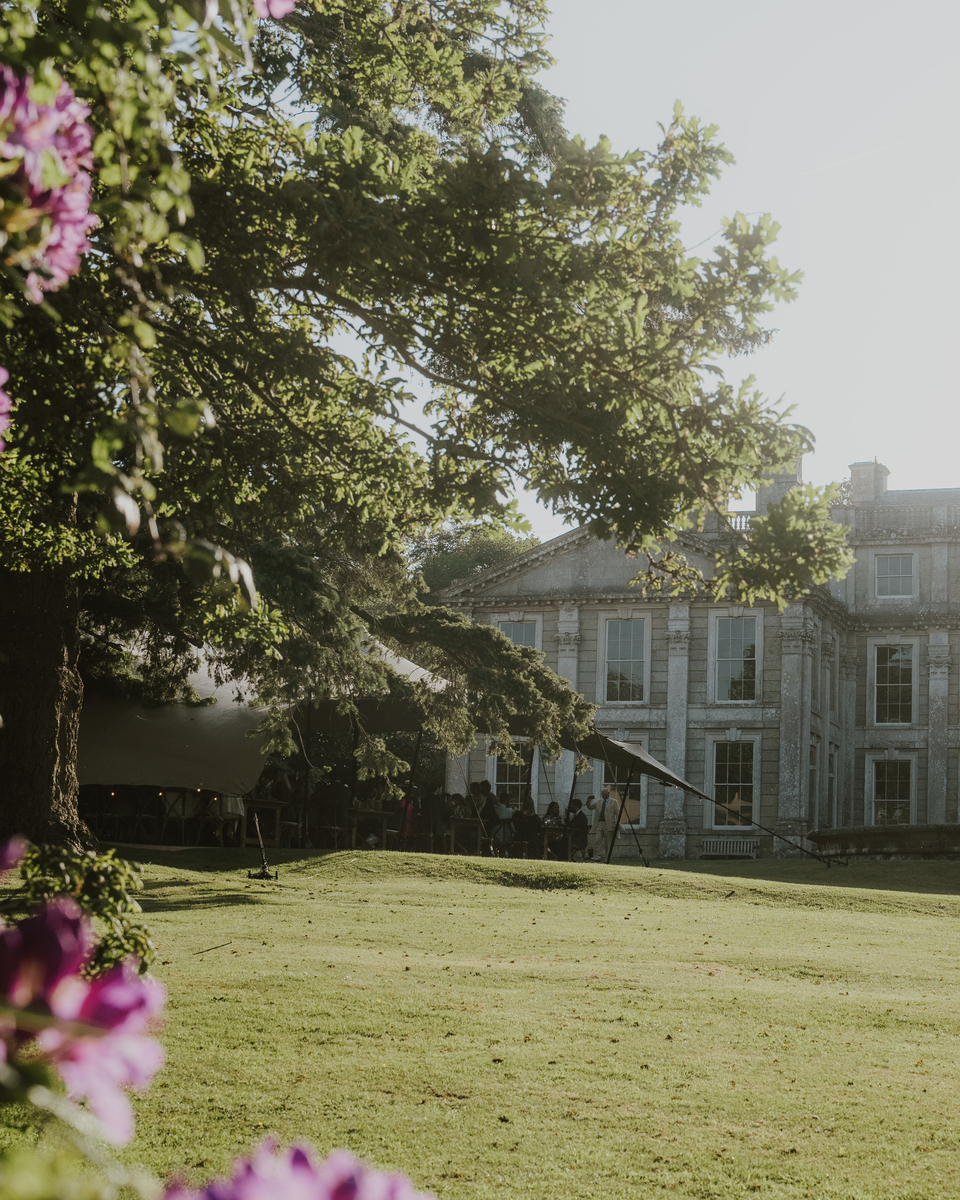 Appuldurcombe House framed by a cedar tree and pink blossom in golden evening light